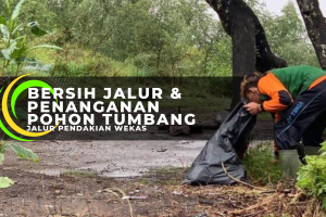 Petugas TN Gunung Merbabu dan Grabupal Lakukan Bersih Jalur dan Penanganan Pohon Tumbang di Jalur Pendakian Wekas